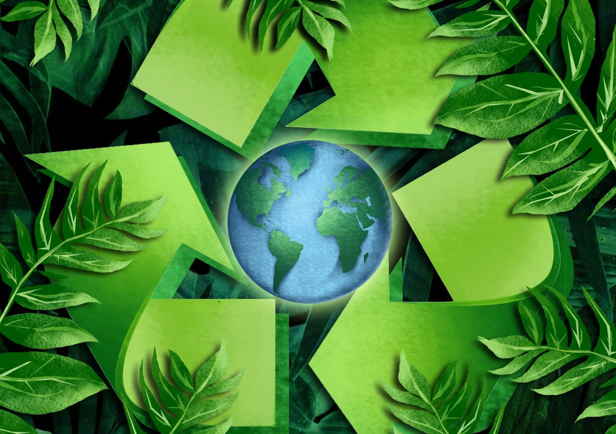 AI co-pilot interface